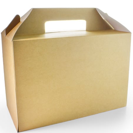 Carry Box Large 13 x 27 x 18cm high